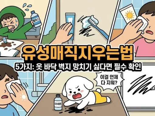 유성매직지우는법 5가지: 옷 바닥 벽지 망치기 싫다면 필수 확인 5 유성매직지우는법 5가지 총정리 썸네일. 옷에 묻은 매직을 보고 당황하는 투유단과 벽과 얼굴에 낙서를 한 덕팔이. 바닥 낙서 지우기부터 아세톤 사용법 및 물파스 활용까지, 안 지워지는 네임펜 지우는 법을 고민하는 캐릭터 일러스트.