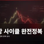 시장 사이클 완벽 가이드: 축적·상승·분배·하락 단계 분석