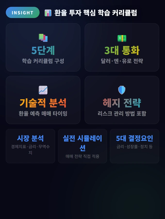 환율 투자 전략 완벽 가이드: 달러·엔·유로 매매법 2 환율 투자 핵심 학습 커리큘럼