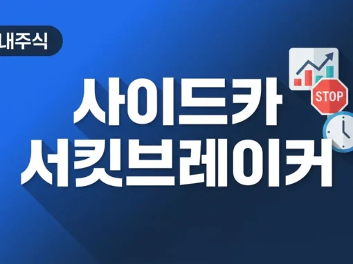 사이드카와 서킷브레이커, 주식시장이 멈추는 순간의 모든 것 8