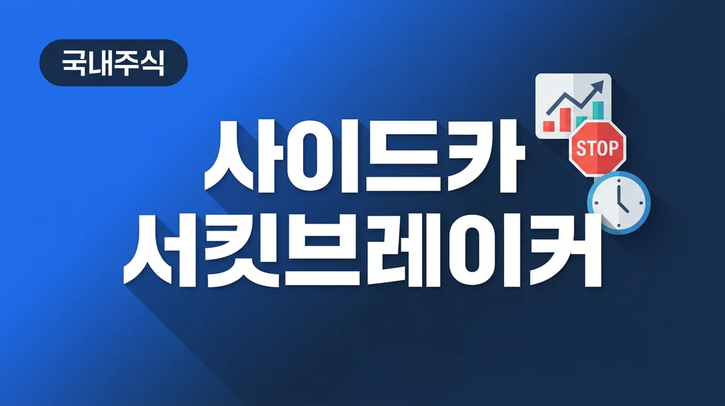 사이드카 서킷브레이커 주식시장 안전장치