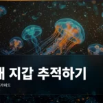 고래(Whale) 지갑 추적하기 완벽 가이드