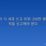 해외 투자 시 세금 신고 의무: 250만 원 넘으면 직접 신고해야 한다